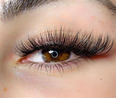 Cat eye lashes. Things To Know About Cat eye lashes. 